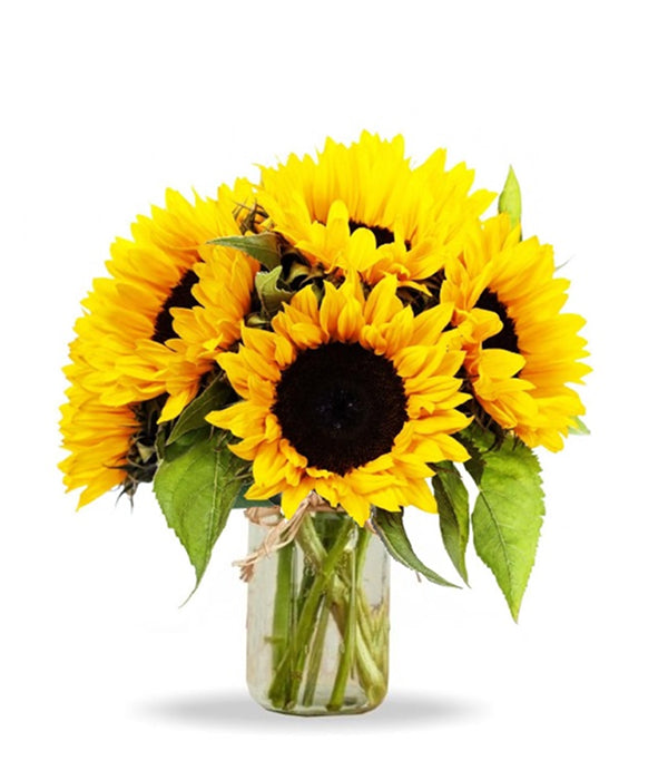 Sunflowers in mason jar