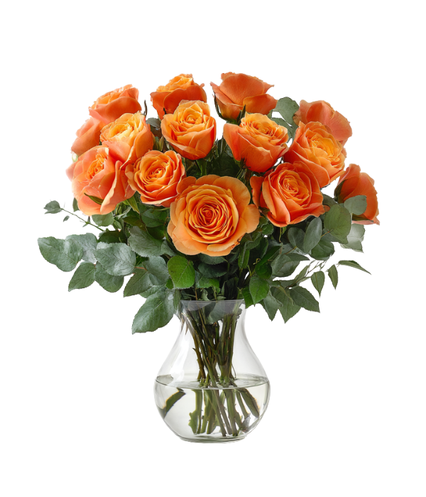 12 Long Stemmed Orange Roses