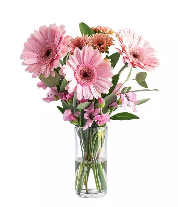 Pink gerbera daisies in a glass vase