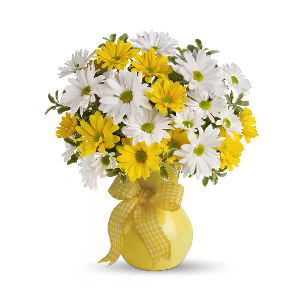 yellow and white daises