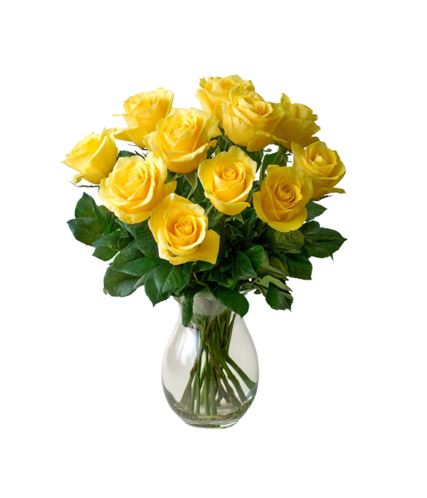 12 Long Stemmed Yellow Roses