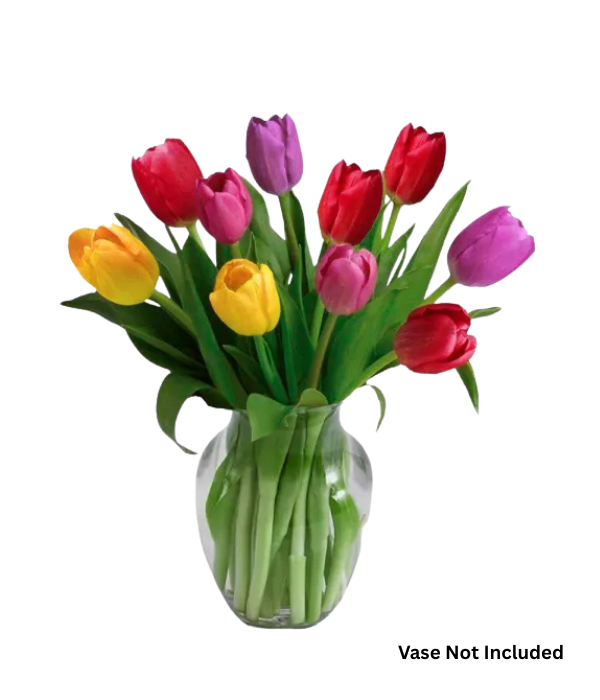 10 Assorted Tulips