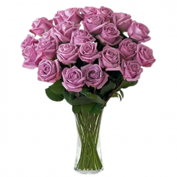 2 Dozen Long Stemmed Lavender Roses 