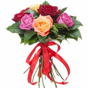 6 assorted color roses 