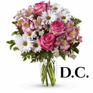 Anniversary Florist's Choice I