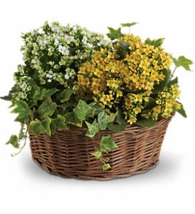 Bountiful Planter Basket 