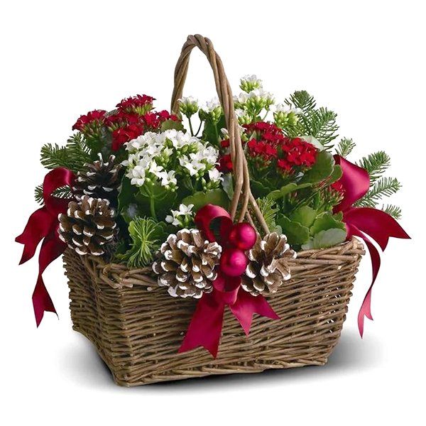 Joyeux Noel Planter Basket 