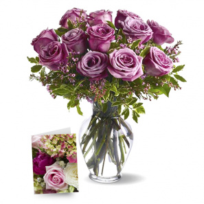 One Dozen Lavender Roses II