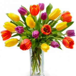 Twenty Tulip Bouquet 